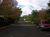 P5140197.JPG